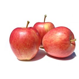 Pomme Gala Rouge - تفاح اربور أحمر