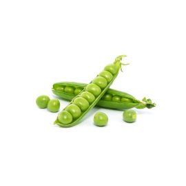 Petits Pois - جلبانة